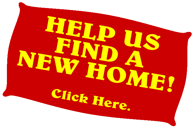 Click here to help New Line find a new performance space.